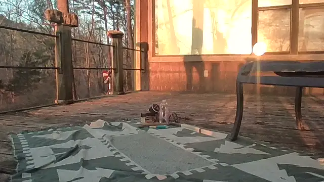 2099RivenXXX online show from February 28, 11:50 pm