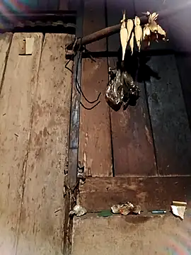 -Chua-90 online show from February 26, 10:53 pm