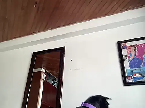 Snapshot of Dreana chatting on February 13, 4:58 pm Dreana online show from February 13, 4:58 pm