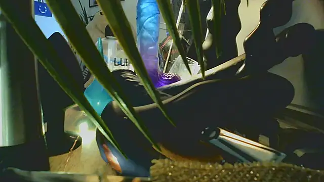 Snapshot of jibe13@xh chatting on July 2, 9:32 pm jibe13xh online show from July 2, 9:32 pm