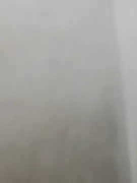 fpic online show from February 2, 1:48 am