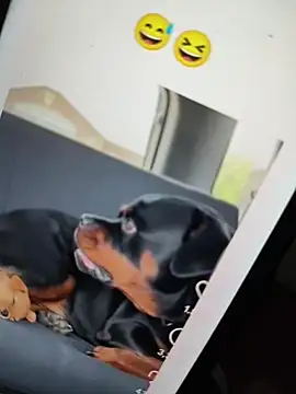 Sainicpl online show from December 5, 1:42 pm