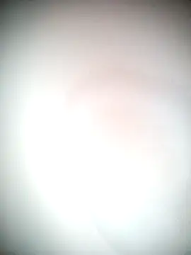 Ariana101 online show from November 24, 12:05 pm