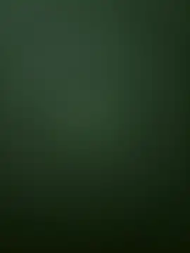 Snapshot of Spring-spring chatting on December 1, 12:54 pm Spring-spring online show from December 1, 12:54 pm