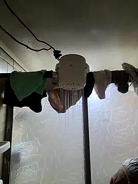 Venus 22 online show from November 29, 5:05 pm