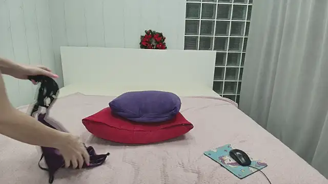 Brightly Heizer online show from January 17, 1:10 am