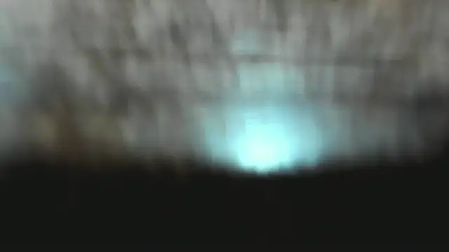 Izelevans online show from January 15, 12:43 pm