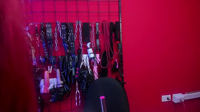 Venus Bms  online show from February 27, 11:54 am