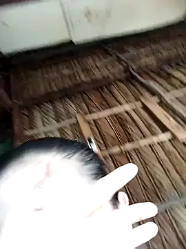 Lin-kute98 online show from February 9, 12:58 am