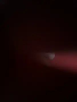 Snapshot of PartiedOmelet chatting on November 24, 7:24 pm PartiedOmelet online show from November 24, 7:24 pm