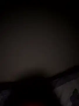 Snapshot of PartiedOmelet chatting on January 7, 2:03 am PartiedOmelet online show from January 7, 2:03 am