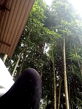 hey-bana online show from December 17, 3:34 am