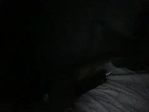 modiji 999 online show from March 5, 10:39 pm