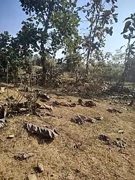 Snapshot of 88zaifkhan88 chatting on January 7, 4:48 am 88zaifkhan88 online show from January 7, 4:48 am