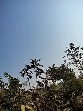 Snapshot of 88zaifkhan88 chatting on January 14, 5:13 am 88zaifkhan88 online show from January 14, 5:13 am