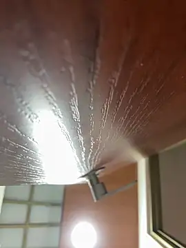 Dafne se online show from January 18, 12:36 am