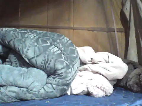 Alibabapi online show from April 8, 7:30 am