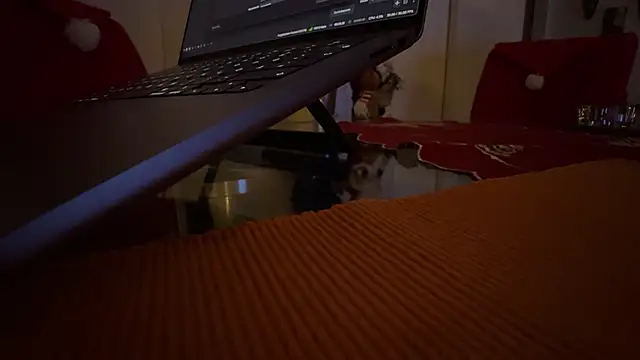 AndyLD20x6 online show from December 3, 11:14 pm