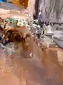 en93000 online show from April 7, 5:41 am