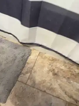 Snapshot of Bigdickandballs85521 chatting on January 7, 6:21 pm Bigdickandballs85521 online show from January 7, 6:21 pm