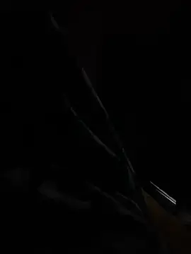 Snapshot of hot8veera chatting on December 2, 12:32 pm hot8veera online show from December 2, 12:32 pm