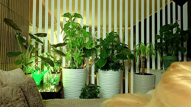 FlowweerGirl online show from December 15, 9:41 pm