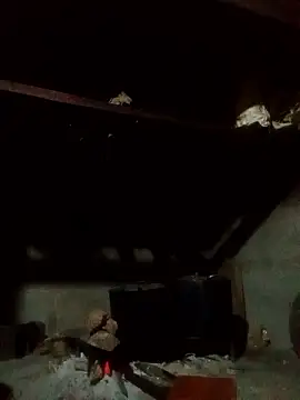 Amiluli online show from January 14, 1:39 pm