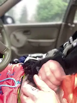 Ldnick69 online show from March 24, 5:40 pm