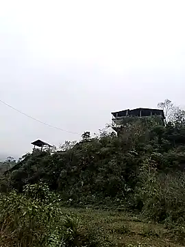 Snapshot of neko-nancy chatting on January 7, 7:55 am neko-nancy online show from January 7, 7:55 am