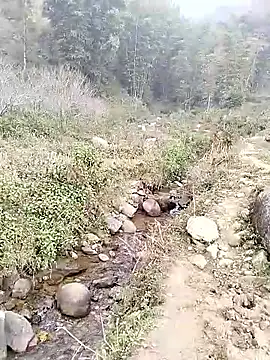 Snapshot of neko-nancy chatting on January 14, 2:50 am neko-nancy online show from January 14, 2:50 am