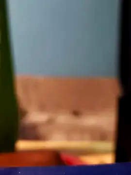 Snapshot of Roberto772 chatting on February 26, 3:38 am Roberto772 online show from February 26, 3:38 am