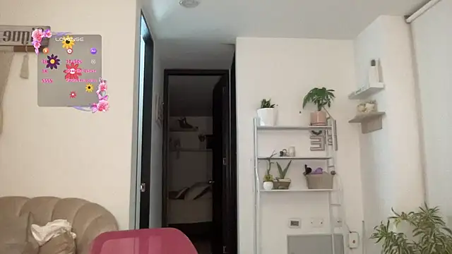 isa fox 23 online show from March 4, 12:49 am