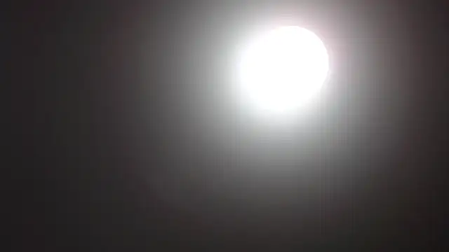 Catherine Walker online show from December 14, 10:20 am