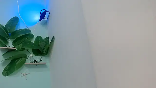 NOVAHOT98 online show from January 12, 5:51 pm