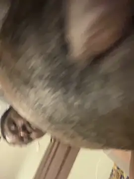 Snapshot of melaninpoppop chatting on January 18, 1:42 am melaninpoppop online show from January 18, 1:42 am