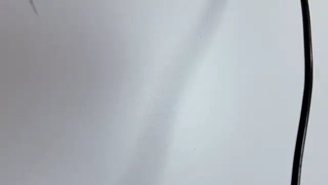 Snapshot of _nannan_ chatting on December 21, 1:29 pm nannan online show from December 21, 1:29 pm