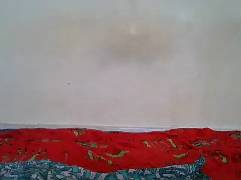Snapshot of BaddestBitchee chatting on April 27, 2:15 pm BaddestBitchee online show from April 27, 2:15 pm