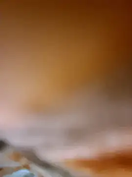 Snapshot of aman4404 chatting on January 8, 5:21 am aman4404 online show from January 8, 5:21 am