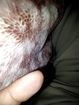 Snapshot of aman4404 chatting on January 13, 6:08 am aman4404 online show from January 13, 6:08 am