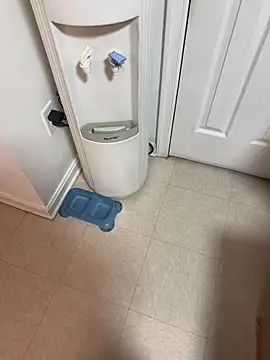 Snapshot of tigre6911 chatting on December 16, 9:36 am tigre6911 online show from December 16, 9:36 am