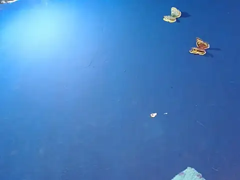 Snapshot of sk8-boy chatting on December 18, 1:39 pm sk8-boy online show from December 18, 1:39 pm