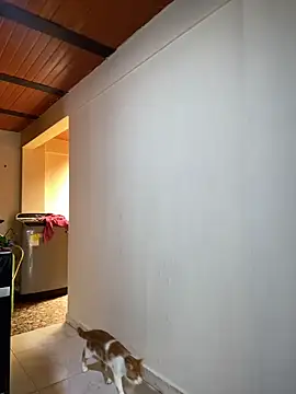 Noxveeltt online show from April 1, 6:16 pm