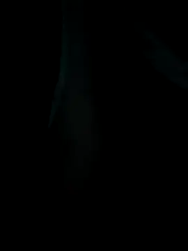 Snapshot of emzoss chatting on December 20, 5:14 am emzoss online show from December 20, 5:14 am