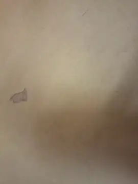 Snapshot of yourburget chatting on February 19, 2:24 pm yourburget online show from February 19, 2:24 pm