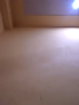 Sakshi-Aditi online show from January 18, 9:13 am