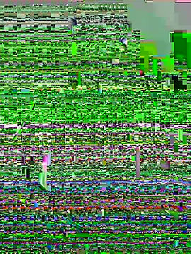 lzinho9153 online show from April 16, 4:19 pm