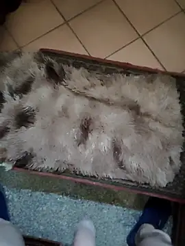 TAMI61 online show from March 25, 2:45 pm