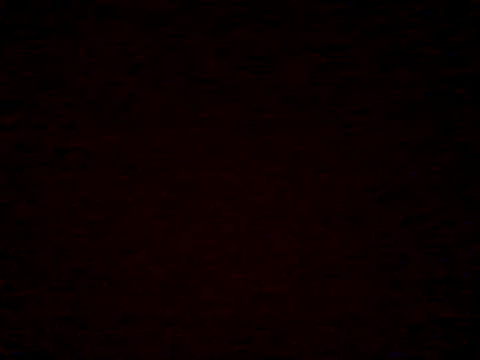  Daisy online show from April 5, 7:22 pm