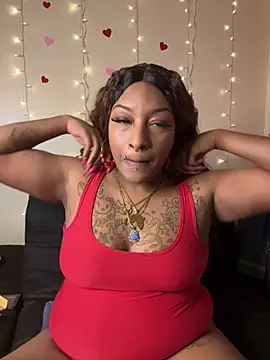 Egyptian reign online show from February 18, 3:13 am