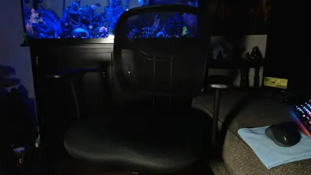 EspanolVato online show from February 5, 10:42 am